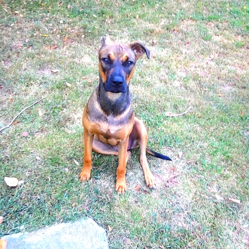 Meet your Posher, Cyanne